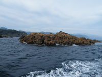 赤根島5名